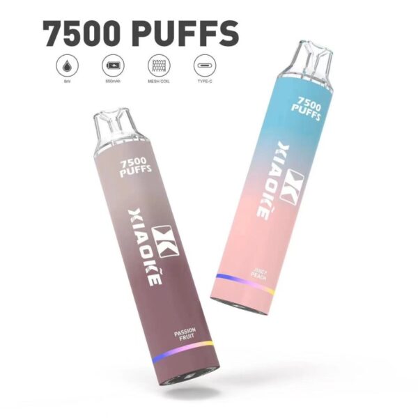 爆款回歸|XIAOKE 7500 PUFFS 梟客棄式抛電子煙 一次性霧化桿