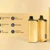 ALIBARBAR INGOT 9000 2 ALIBARBAR INGOT 9000 Puffs 拋棄式電子煙 台灣 711到付