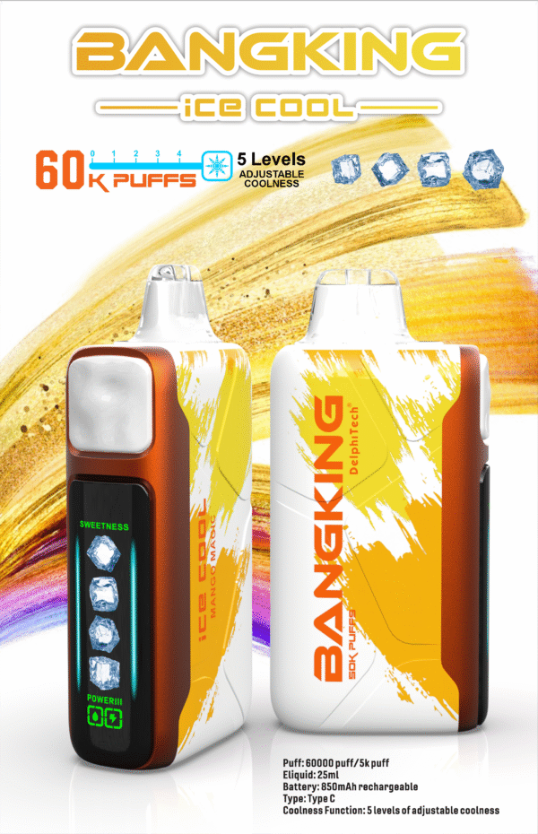 Bang King Ice Cool 60K DSK048 一次性電子煙 台灣現貨 – 60000口超大容量5級可調清涼可充電一次性電子煙推薦 派對解癮神器