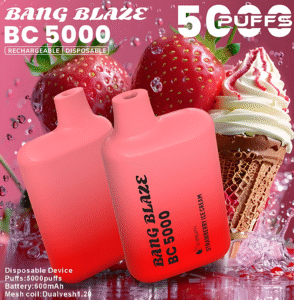 BC5000電子煙